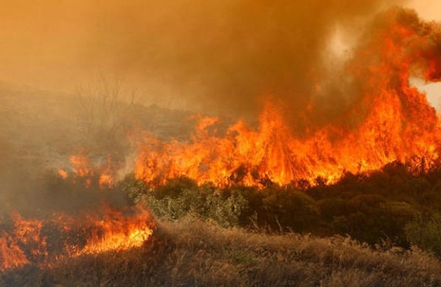 Η καύση των σιτοκαλαμιών «καίει» τις επιδοτήσεις όλων των χωραφιών