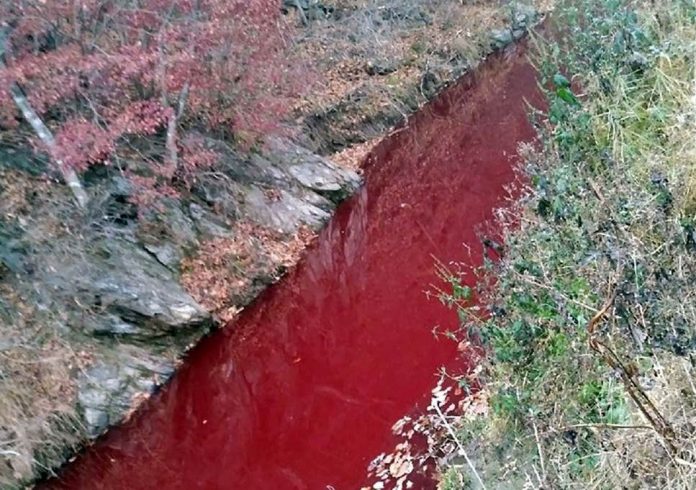 Ν. Κορέα: Ποταμός βάφτηκε κόκκινος από το αίμα χοίρων που σφαγιάσθηκαν λόγω της αφρικανικής πανώλης