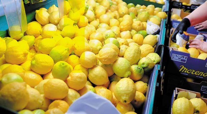 lemoni-2