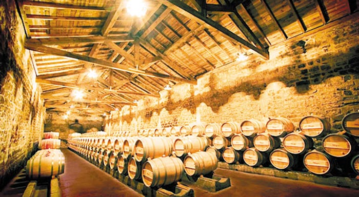 sto-plaisio-tou-ergou-unicgrapes-tha-prosdioristei-i-idiaiterotita-5-gigenon-poikilion-tis-stereas-elladas-176852