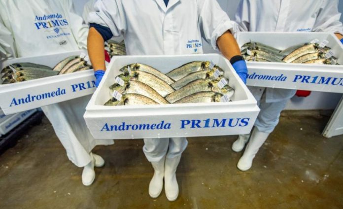 Ο Όμιλος Andromeda ανακοίνωσε την ολοκλήρωση της εξαγοράς του Νηρέα και της Σελόντα Ο Όμιλος Andromeda ανακοίνωσε την ολοκλήρωση της εξαγοράς του Νηρέα και της Σελόντα