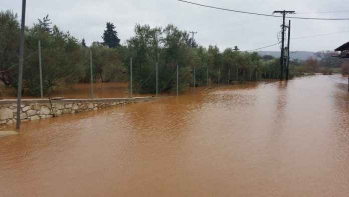 Οι πλημμυροπαθείς του Πύργου μετρούν τις «πληγές» τους