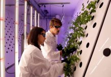 Τσέχοι επιστήμονες καλλιεργούν τα πρώτα φυτά για τον Άρη
