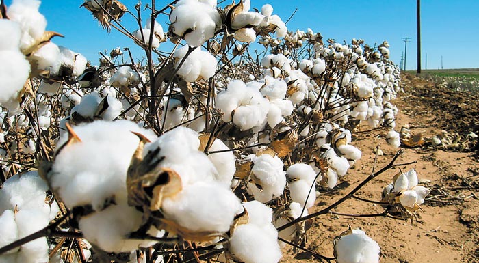 ston-synagro-to-proto-synetairistiko-pistopoiitiko-agro-2-1-kai-2-2-183024