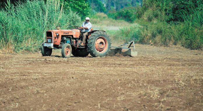 forologia-agroton
