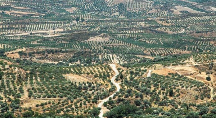 landscape_land_crete_grece_0