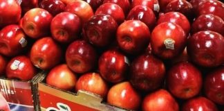 Νέα ποικιλία μήλου αντέχει έως και 1 χρόνο στο ψυγείο