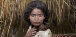 «Τσίχλα» 5.700 ετών αποκαλύπτει το πρόσωπο μιας προϊστορικής Σκανδιναβής