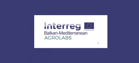 stis-15-1-to-teliko-diethnes-synedrio-tou-ergou-agrolabs-apo-tin-pkm-kai-tin-p-e-imathias-184546