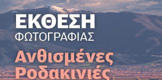Οι ανθισμένες ροδακινιές της Βέροιας ταξιδεύουν στη Θεσσαλονίκη