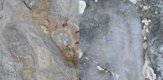 Καβάλα: Άγνωστοι καταστρέφουν πανάρχαιες βραχογραφίες στο Παγγαίο