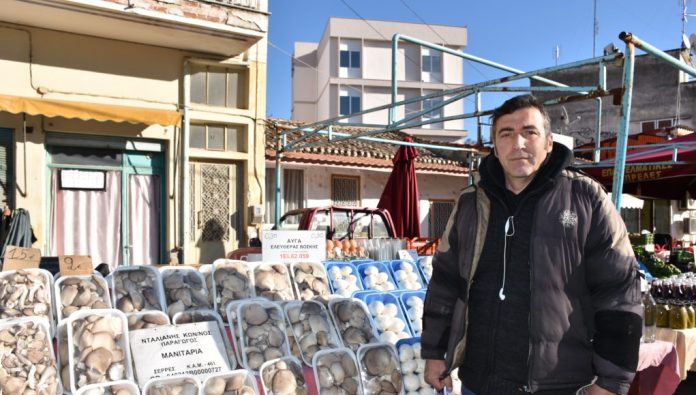 Κομοτηνή: Ένας μανιταρο-παραγωγός με όνειρα και όρεξη για δουλειά Κομοτηνή: Ένας μανιταρο-παραγωγός με όνειρα και όρεξη για δουλειά