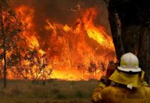 Οι πυρκαγιές στην Αυστραλία προκαλούν αύξηση-ρεκόρ του CO2 στην ατμόσφαιρα
