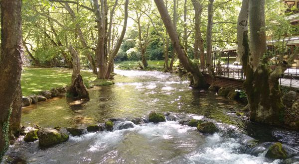 Στην υπογραφή Μνημονίου Συνεργασίας προχωρά ο Δήμος Νάουσας και το ΙΓΕ