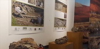 Συνεχίζεται ο Κύκλος Διαλέξεων «Τα Ορυκτά και ο Άνθρωπος» από το Αριστοτέλειο Μουσείο Φυσικής Ιστορίας Θεσσαλονίκης