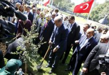 Τουρκία: «Νεκρό» το 90% των 11 εκατ. δένδρων που φυτεύτηκαν ως «ανάσα για το μέλλον»
