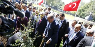 Τουρκία: «Νεκρό» το 90% των 11 εκατ. δένδρων που φυτεύτηκαν ως «ανάσα για το μέλλον»