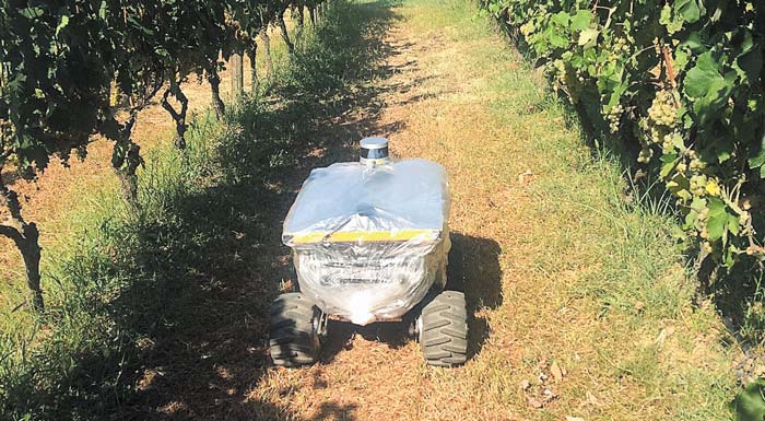 evtar-trygos-me-robot-gia-ellinika-krasia-ypsilis-poiotitas-186059