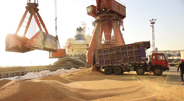 wheat_fortosi