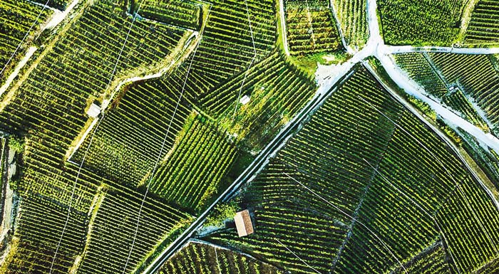 smartagrihubs-ena-portal-kainotomias-gia-evresi-technologion-kai-synergasias-184211