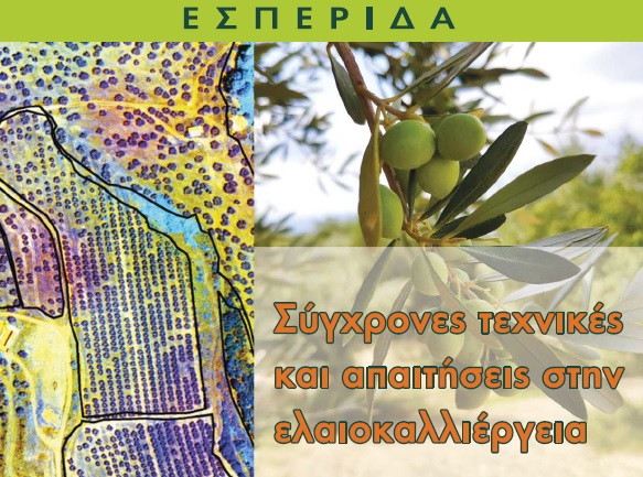 enimerotikes-ekdiloseis-gia-tin-elaiokalliergeia-se-pyrgo-kai-mesolongi-188032