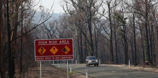 Αυστραλία: Οι πυρκαγιές κατέστρεψαν το ένα πέμπτο των δασών, σύμφωνα με μελέτες