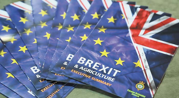 copa-cogeca-katastrofiko-gia-tous-agrotes-to-endechomeno-mi-eborikis-symfonias-meta-to-brexit-188206