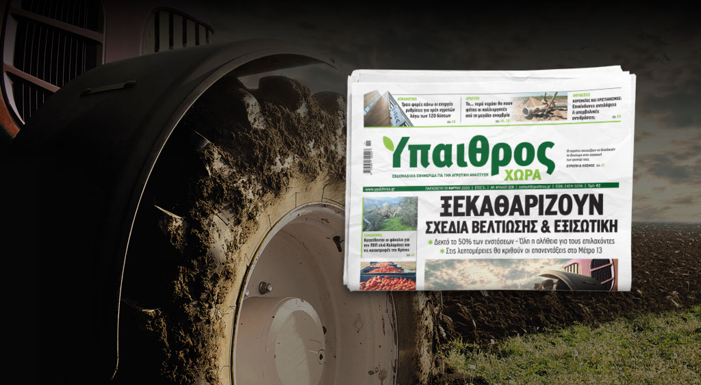diavaste-stin-ych-xekatharizoun-schedia-veltiosis-kai-exisotiki-191546