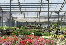 Σλοβενία: Ο κορωνοϊός «μαραίνει» τα φυτώρια που καταγράφουν ζημιές και μείωση πωλήσεων