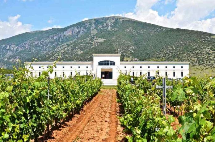 Tριπλή διάκριση για το Κτήμα Παυλίδη σε Διεθνή Διαγωνισμό Οίνου στη Γερμανία Tριπλή διάκριση για το Κτήμα Παυλίδη σε Διεθνή Διαγωνισμό Οίνου στη Γερμανία