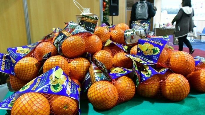 Βιταμίνη C από εσπεριδοειδή για το ανοσοποιητικό προτιμούν οι καταναλωτές Βιταμίνη C από εσπεριδοειδή για το ανοσοποιητικό προτιμούν οι καταναλωτές