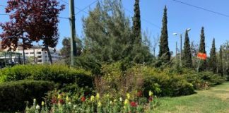Δήμος Αθηναίων: 8.500 νέα φυτά στην πόλη από τις αρχές Μαρτίου
