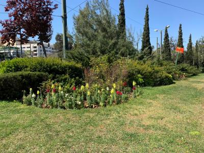 Δήμος Αθηναίων: 8.500 νέα φυτά στην πόλη από τις αρχές Μαρτίου