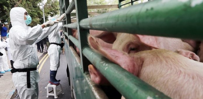 Ενεργοποίηση της ΚΑΠ για την προστασία από τις επιπτώσεις της πανδημίας ζητούν Γαλλία και Γερμανία Ενεργοποίηση της ΚΑΠ για την προστασία από τις επιπτώσεις της πανδημίας ζητούν Γαλλία και Γερμανία