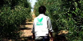 Το ευχαριστήριο video της Ηaifa Hellas στους Έλληνες αγρότες και αγρότισσες