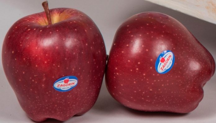 Ανανεώνουν το ραντεβού με τους καταναλωτές για τον Σεπτέμβριο τα μήλα ZAGORIN