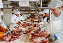 Αργεντινή: Η κυβέρνηση επιτρέπει σε ραββίνους του Ισραήλ να εισέρχονται στη χώρα για να πιστοποιούν το 'κόσερ' κρέας