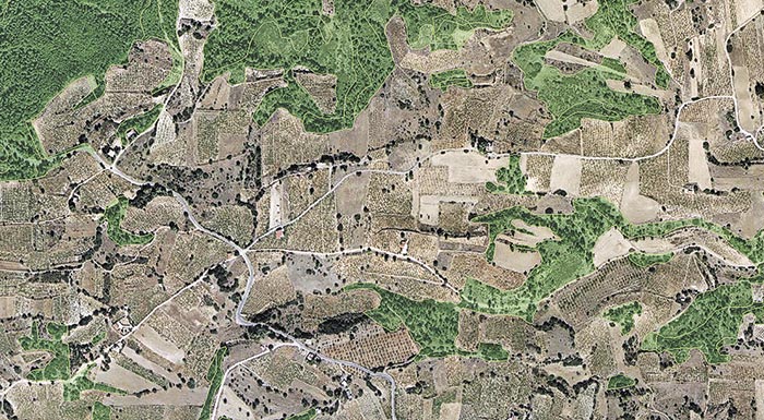 perivallontiko-nomoschedio-ti-allazei-se-dasikes-kai-kalliergouµenes-ektaseis-196165