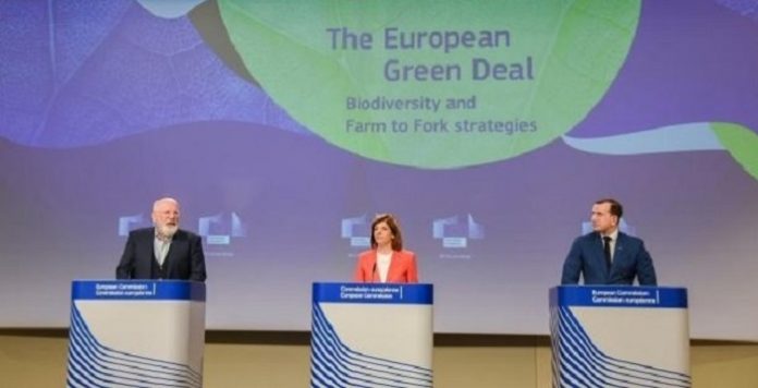 european union1