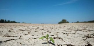 Γαλλία: Σε συναγερμό για την καλοκαιρινή ξηρασία
