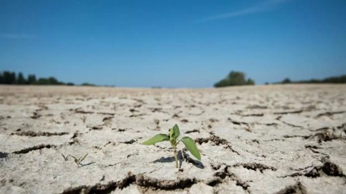 Γαλλία: Σε συναγερμό για την καλοκαιρινή ξηρασία