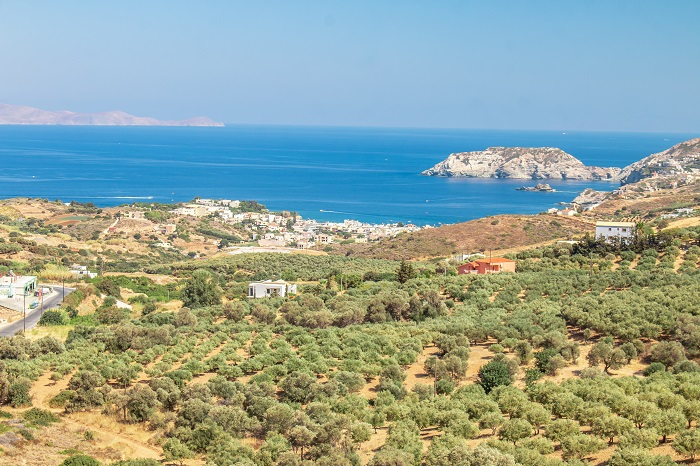 Συνεργασία Περ. Κρήτης και Ερευνητικών Ιδρυμάτων για προγράμματα δακοκτονίας, φυτοπροστασίας της ελιάς με σύγχρονα μέσα