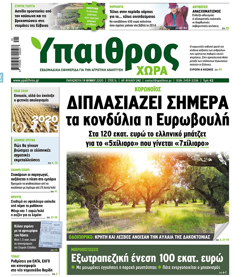 fyllo-242-paraskevi-19-iouniou-2020-200848