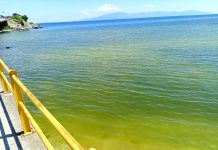 Άνθιση φυτοπλαγκτού στις ακτές της πόλης της Καβάλας