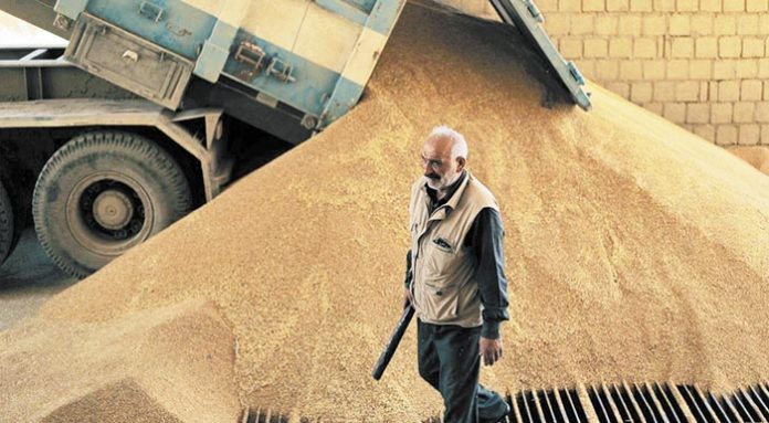 durum_silo