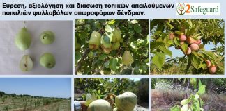 ΕΛΓΟ Νάουσας: Kαταγραφή και διάσωση τοπικών ποικιλιών φυλλοβόλων οπωροφόρων δέντρων