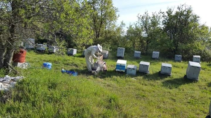 gine-gia-mia-imera-melissokomos-to-episkepsimo-melissokomeio-ston-taxiarchi-chalkidikis-201736