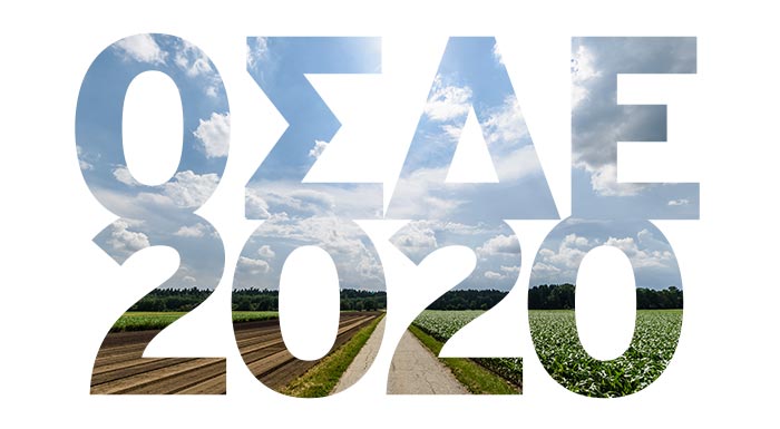 osde-2020-160-000-diloseis-den-echoun-oristikopoiithei-sto-foul-doulevoun-oi-µichanes-ton-kyd-200329