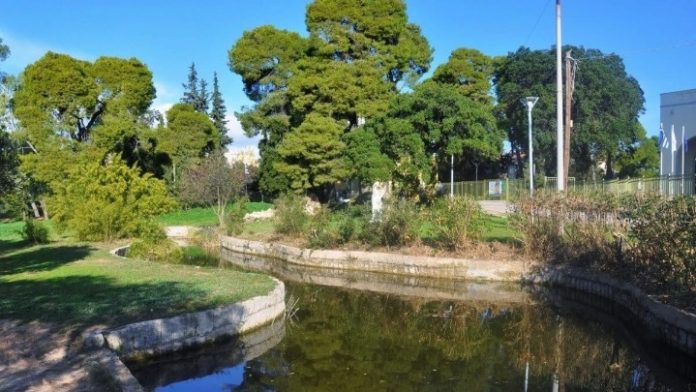 Η προστασία του δάσους Συγγρού στο επίκεντρο της μέριμνας του Δήμου Αμαρουσίου Η προστασία του δάσους Συγγρού στο επίκεντρο της μέριμνας του Δήμου Αμαρουσίου