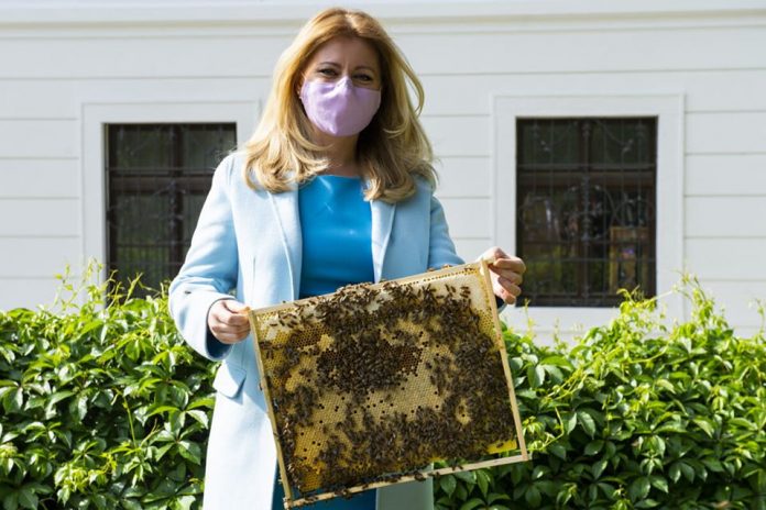 Σλοβακία: Μελισσοκομείο στον κήπο πίσω από το Προεδρικό Μέγαρο της Μπρατισλάβα